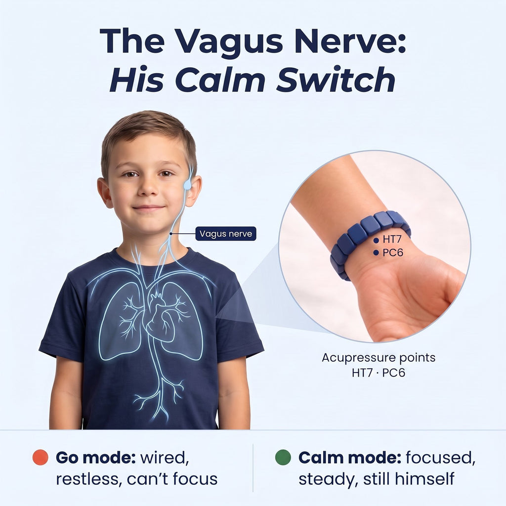 The vagus nerve, his calm switch: Pulsi rests on the acupressure points HT7 and PC6 of the inner wrist
