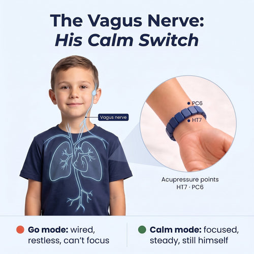 The vagus nerve, his calm switch: the acupressure point PC6 just above the Pulsi bracelet and HT7 just below it